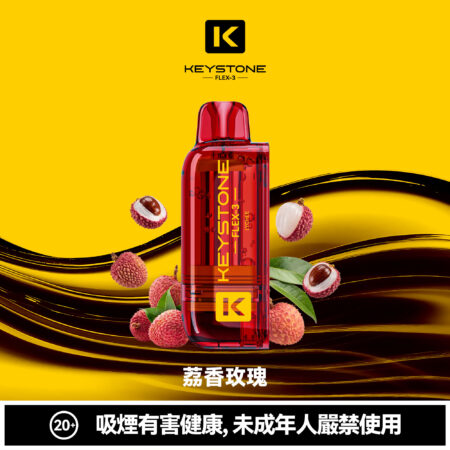 KEYSTONE FLEX-3 鑰石 25000口 專彈專機套裝｜大容量續航・台灣現貨