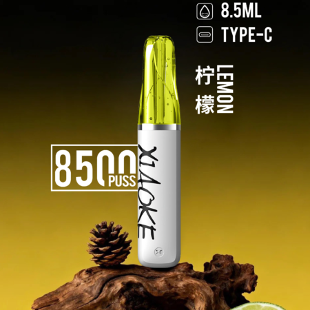 xiaoke 梟客 口紅款 8500口 拋棄式電子煙｜高顏值設計・大容量續航・台灣現貨